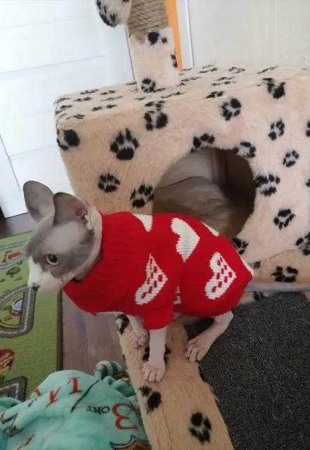 Warm Dog Sweaters for Small Medium Dogs Winter - Cute Knitted Puppy Coat - Chihuahua French Bulldog Yorkie - Animal Pattern