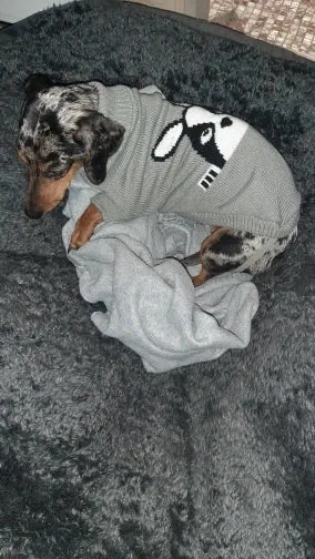 Warm Dog Sweaters for Small Medium Dogs Winter - Cute Knitted Puppy Coat - Chihuahua French Bulldog Yorkie - Animal Pattern